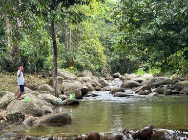 Um menino está sobre rochas ao lado de um riacho claro em uma floresta verdejante, apreciando a natureza. A cena serena inclui água corrente e árvores pendentes.