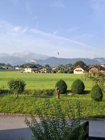 Eine friedliche, ländliche Landschaft mit ordentlich geschnittenen Büschen, grünen Feldern, verstreuten Häusern, fernen Bergen, klarem, blauem Himmel und einem Vogel, der anmutig über der Landschaft schwebt.