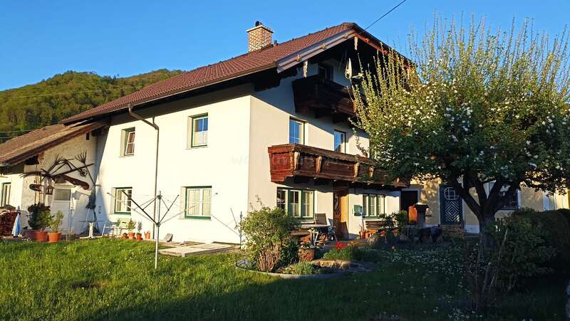 Dieses Bild zeigt ein charmantes Haus auf dem Land mit einem roten Ziegeldach, einem Holzbalkon und grün gestrichenen Fenstern, umgeben von Gras, Blumen und in der Sonne liegend.