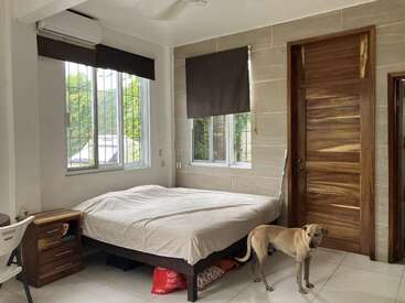 Cette image montre une chambre à coucher simple avec un lit, une table de nuit en bois, une chaise, deux fenêtres, des stores bruns, une porte en bois, du carrelage blanc et un chien bronzé debout.