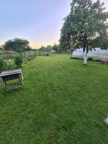A neatly mowed lawn stretches into the distance, bordered by trees and a fence. On the right is a greenhouse, a tree, and a lawnmower.