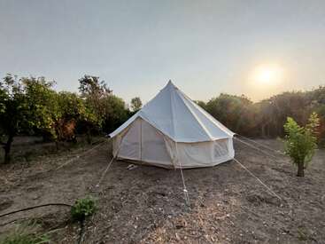 Una gran tienda blanca se alza en un claro rodeado de árboles verdes, bañada por la cálida luz del sol al atardecer, creando una tranquila y rústica escena de acampada al aire libre.