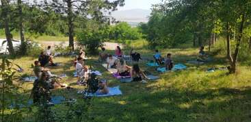Un grupo de personas practica yoga al aire libre, sentadas en colchonetas en un claro cubierto de hierba, iluminado por el sol y rodeado de árboles, disfrutando juntos de un entorno tranquilo y natural.
