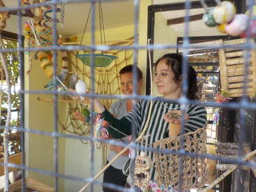 Two women are inside an aviary, smiling and interacting with birds. One woman wears a striped shirt, holding seeds while several colorful birds perch nearby. Toys hang around.