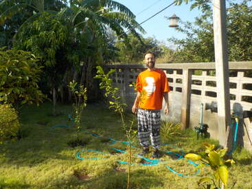 A man wearing a bright orange shirt and patterned pants stands in a sunny garden surrounded by young trees, hoses, green grass, and a concrete fence.