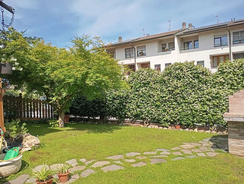 Un patio trasero soleado con césped verde, un sendero de piedra, un árbol frondoso, una valla de madera, plantas en macetas, un seto en flor y edificios residenciales blancos al fondo, bajo un cielo azul.