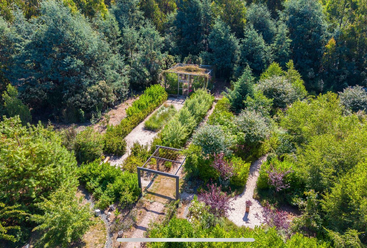 Essa imagem mostra um jardim botânico verdejante e exuberante, com várias árvores, arbustos bem cuidados, caminhos sinuosos de cascalho e duas pérgulas aninhadas entre a vegetação densa. Lindo e tranquilo.