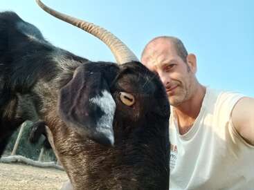 A man in a white shirt takes a selfie with a black goat. The goat’s head and horn are close to the camera, with clear blue sky.