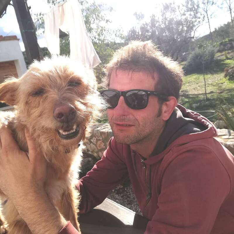 A man in sunglasses and a red hoodie smiles while holding a happy, scruffy dog outdoors. Sunlight brightens the background and laundry hangs nearby.
