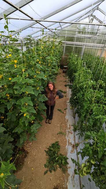 A woman stands smiling inside a greenhouse, surrounded by lush green plants and yellow flowers growing tall along both sides of a dirt walkway. Healthy environment.