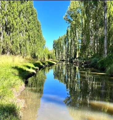 Ein ruhiger Fluss fließt sanft zwischen hohen, üppig grünen Bäumen unter einem klaren, blauen Himmel und spiegelt die Ruhe und Schönheit der Natur auf seiner glatten, spiegelglatten Oberfläche wider.