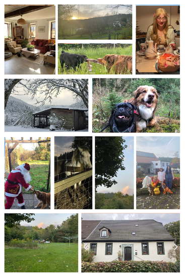 A cozy rural home, beautiful landscapes, animals, winter and autumn scenes, friendly dogs, festive costumes, outdoor fun, horses, and people celebrating special moments together.