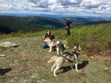Sur une montagne pittoresque, deux personnes profitent du grand air en compagnie de huskies. L'une d'elles est agenouillée près des chiens, tandis que l'autre photographie le paysage grandiose et à couper le souffle.