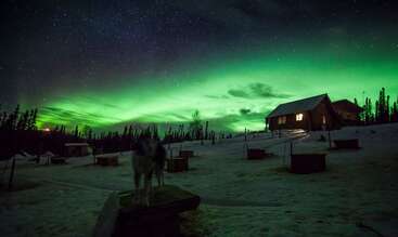 Un paysage enneigé resplendit sous les aurores boréales d'un vert éclatant. Une cabane chaleureuse aux lumières douces se dresse sur une colline, entourée d'arbres, de niches pour chiens de traîneau et d'étoiles.