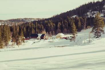 A snowy landscape featuring a cluster of houses nestled near a forest. Tall pine trees surround the scene, with gentle hills and soft winter light illuminating everything.