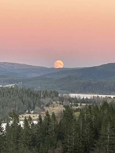 Ein Vollmond geht über sanften Hügeln und dichtem Wald auf und taucht die Landschaft in ein ruhiges Licht. Der Himmel ist sanft in Pastelltönen von Rosa und Orange getaucht.