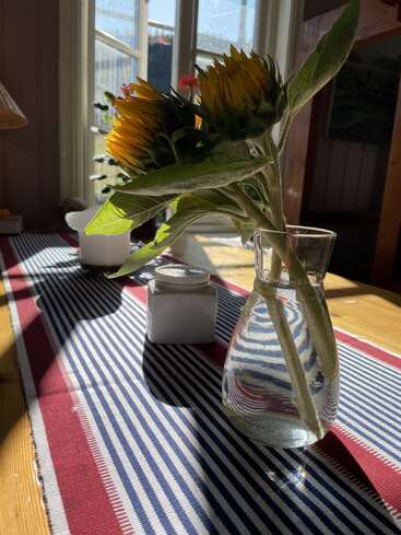 Zwei Sonnenblumen in einer durchsichtigen Glasvase stehen auf einem gestreiften Tischläufer. Sonnenlicht strömt durch ein Fenster und wirft Schatten, wodurch eine warme, einladende Atmosphäre entsteht.