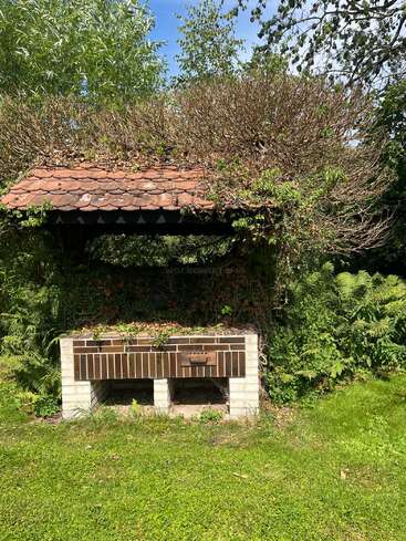 This image shows an old outdoor brick grill with a tiled roof, partially overgrown with vines and surrounded by lush greenery and trees on a sunny day.