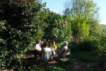 Cuatro personas están sentadas juntas en un frondoso jardín verde rodeado de árboles y arbustos en flor, disfrutando de una conversación bajo un cielo azul claro y brillante. Un entorno tranquilo.