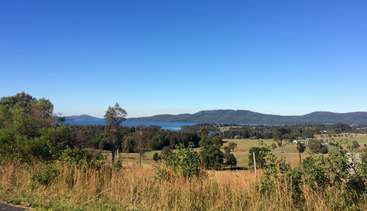 A imagem retrata uma paisagem serena com um corpo de água, árvores e uma área gramada, evocando uma sensação de tranquilidade e beleza natural. É provável que a cena seja um parque ou um ambiente externo tranquilo.