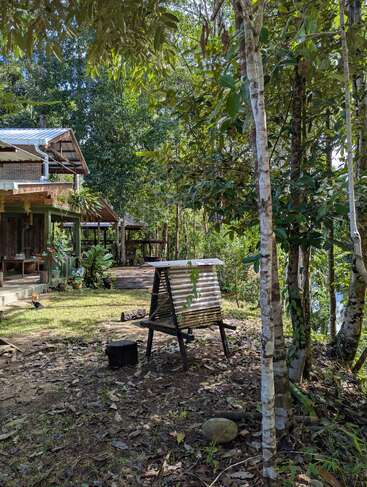 Una rústica casa de madera se encuentra en medio de frondosos árboles verdes. Hay un banco con techo metálico en el patio, rodeado por el bosque y una cubierta vegetal.