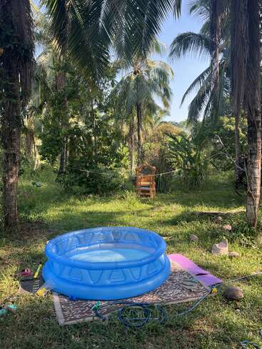 A small blue inflatable pool sits on a mat in a tropical garden, surrounded by palm trees and scattered toys, under a clear, sunny sky.