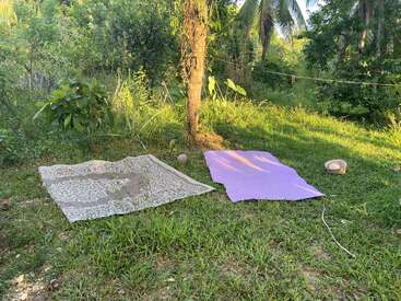 Two mats are laid out on green grass beside a tree in a sunny, lush garden. A hat lies nearby, and foliage surrounds the area.