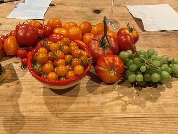 Uma mesa de madeira exibe vários tomates e tomates cereja, tanto em uma tigela quanto soltos, ao lado de um cacho de uvas verdes, com papéis e um copo.