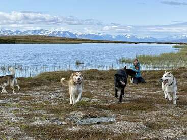 Cuatro perros felices corren alegremente frente a un pintoresco lago, mientras una mujer se arrodilla al fondo, rodeada de hermosas montañas y bajo un cielo parcialmente nublado.