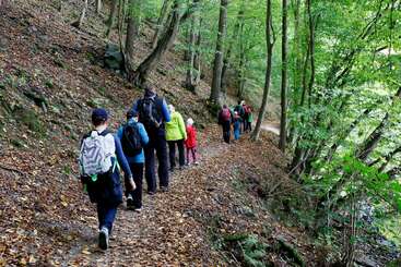 Eine Gruppe von Wanderern, darunter Erwachsene und Kinder, wandert auf einem mit Laub bedeckten Waldweg, umgeben von grünen Bäumen, und genießt gemeinsam die Natur und das Abenteuer im Freien.