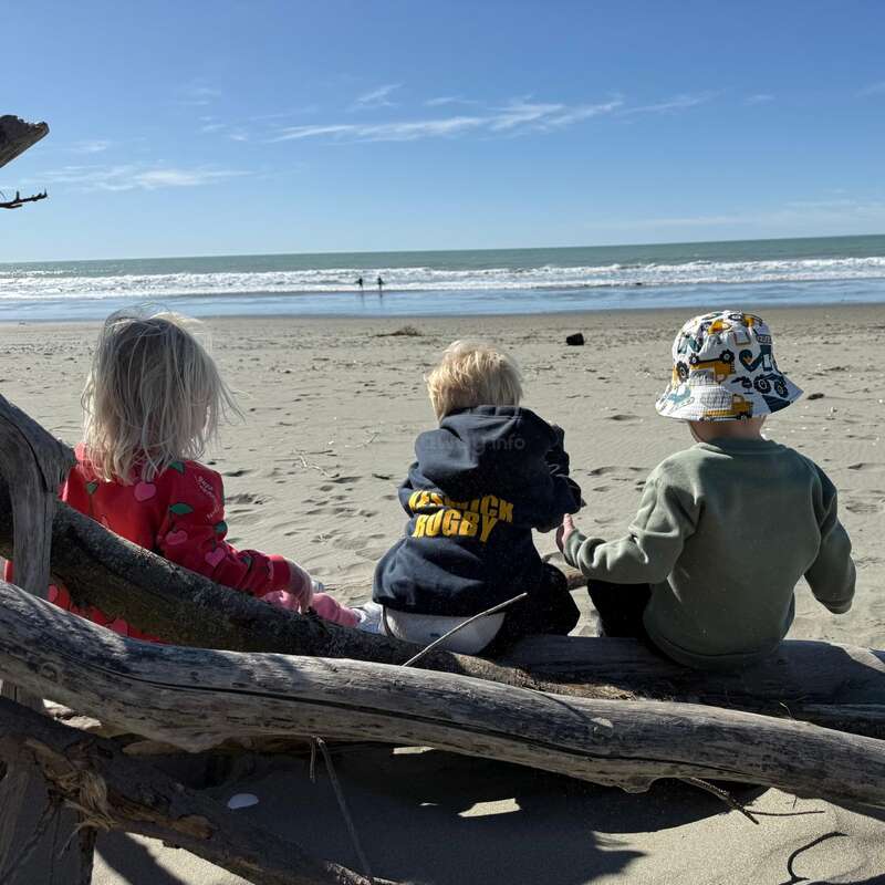 Três crianças pequenas sentam-se em uma madeira flutuante, olhando para o oceano sob um céu azul claro. Elas desfrutam de um dia tranquilo e ensolarado na praia.