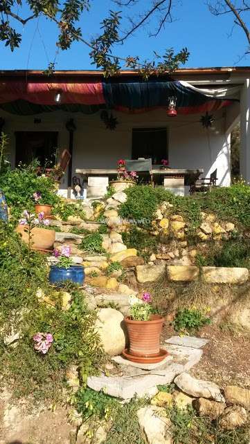 The image depicts a serene outdoor setting, featuring a house with a covered patio, a stone staircase adorned with potted plants, and a clear blue sky.