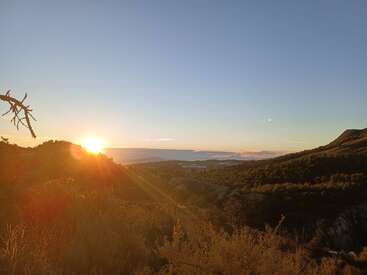 A beautiful sunrise over rolling hills, casting golden light on trees and shrubs. The sky is clear with hints of clouds and distant mountains visible.