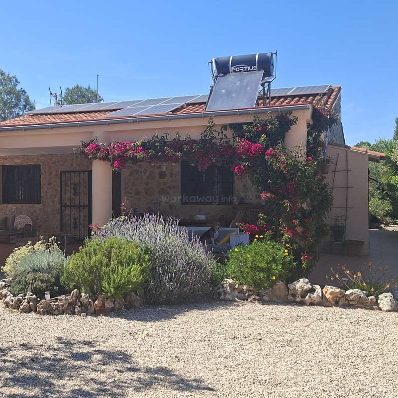 Uma casa encantadora com painéis solares e um aquecedor solar de água no telhado, cercada por plantas exuberantes, flores e um jardim de cascalho sob um céu azul límpido.
