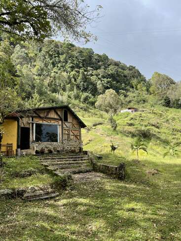 L'image représente une petite cabane rustique en bois avec des fondations en pierre, située sur une colline entourée de verdure et d'arbres luxuriants.