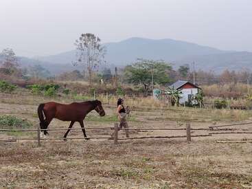 Eine Person führt ein braunes Pferd über einen eingezäunten Weg in einer ländlichen Gegend, in der ein kleines Haus, Bäume und Berge im Hintergrund zu sehen sind.