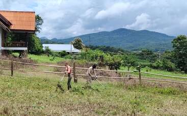 Dos personas trabajan en un campo cubierto de hierba con herramientas, cerca de una valla de madera. A la izquierda se ve una casa, con montañas y cielos nublados al fondo.
