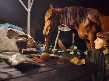 Por la noche, dos personas interactúan con un caballo marrón junto a una mesa de picnic repleta de comida y artículos de camping, creando una escena cálida e íntima al aire libre.