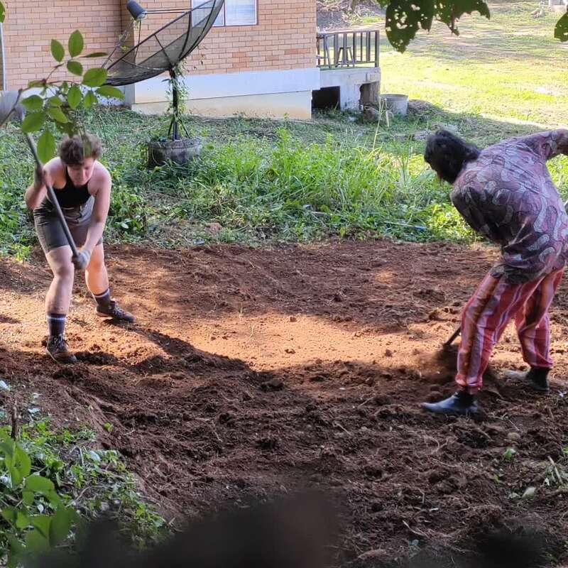 Zwei Menschen arbeiten zusammen in einem Garten und bearbeiten die Erde mit Schaufeln. Im Hintergrund sind ein Backsteinhaus, eine Satellitenschüssel und üppiges Grün zu sehen.