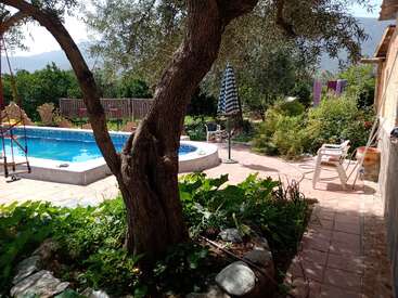 Das Bild zeigt eine ruhige Oase im Garten mit einem Pool, Terrassenmöbeln, üppigem Grün und einem majestätischen Baum vor einer malerischen Bergkulisse.