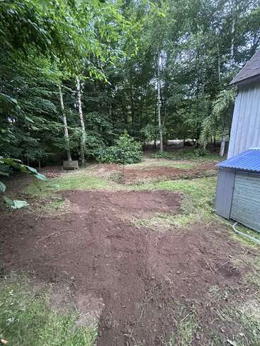 A backyard with freshly turned soil patches, surrounded by lush green trees. A small shed with a blue roof is visible on the right side. Peaceful setting.