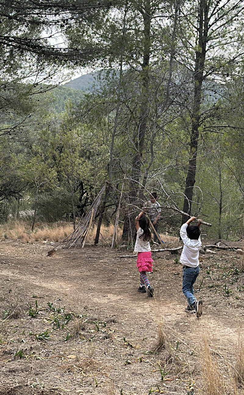 The image depicts three children in a wooded area, building a structure with sticks and branches, surrounded by trees and a mountain in the background.
