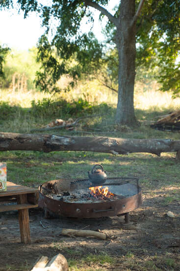 A rustic campfire burns under a large tree, with a black kettle heating above the flames. Logs, a wooden bench, and grassy surroundings complete the scene.