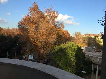 A imagem retrata uma cena urbana serena, com uma árvore vibrante com folhas alaranjadas, um céu azul com nuvens brancas e uma paisagem urbana com prédios e carros ao fundo.