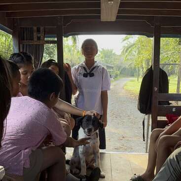 Eine Gruppe von Kindern sitzt in einem hölzernen Fahrzeug und hat sich um einen glücklichen schwarz-weißen Hund versammelt. Das Sonnenlicht strömt durch die offene Tür und schafft eine warme, freundliche Atmosphäre.