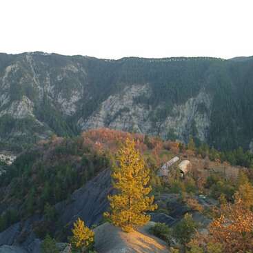 A vibrant yellow tree stands in the foreground, surrounded by rugged hills and dense green forest, with tall rocky mountains beneath a clear, bright sky.