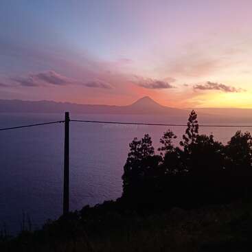 A stunning sunset with vibrant purple and orange hues, overlooking calm ocean waters, silhouetted trees, a volcano in the distance, and a simple power line crossing.