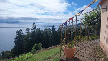 Une vue pittoresque de la côte présente une plante en pot, des drapeaux de prière colorés, des arbres verdoyants, un océan bleu, des montagnes lointaines et un ciel partiellement nuageux, ce qui crée un sentiment de tranquillité.