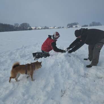 Dos personas juegan en la nieve, construyendo algo juntas, mientras un perro curioso las observa. El paisaje está nevado, con casas y árboles al fondo.