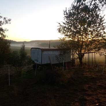 Early morning sunlight filters through misty fields and trees, illuminating an old trailer in a quiet rural landscape, evoking peace, solitude, and rustic charm.